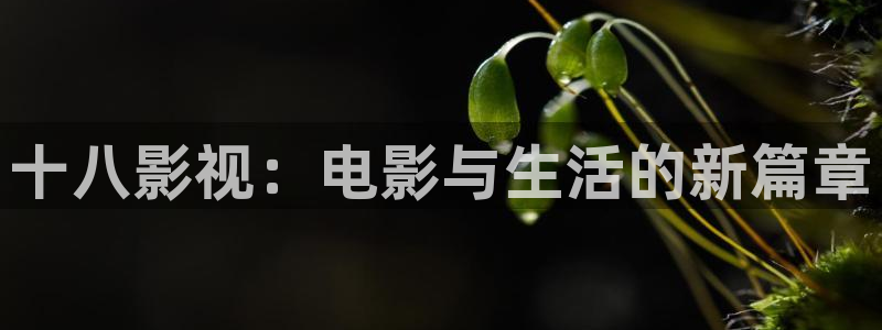 奇米777 米奇影视狠狠