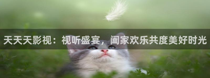 奇米影视四色777：天天天影视：视听盛宴，阖家欢乐共度美好时光