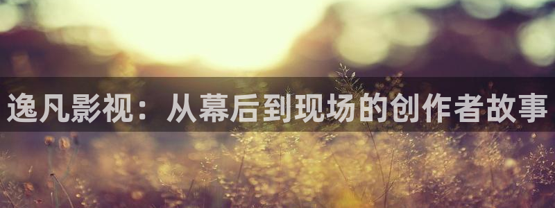 777电影网：逸凡影视：从幕后到现场的创作者故事